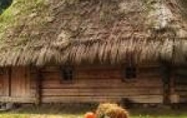 Екскурсії у Шевченківський Гай