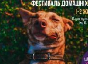 Фестиваль домашніх улюбленців у Львові